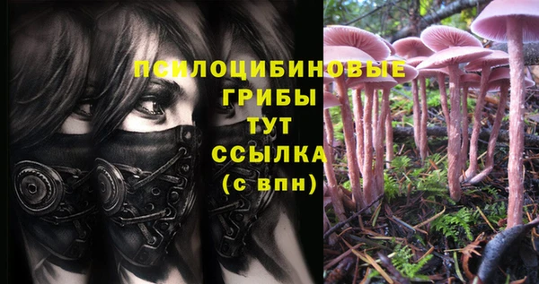тгк Балахна