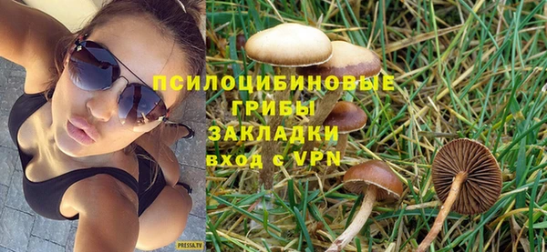 хмурый Балабаново