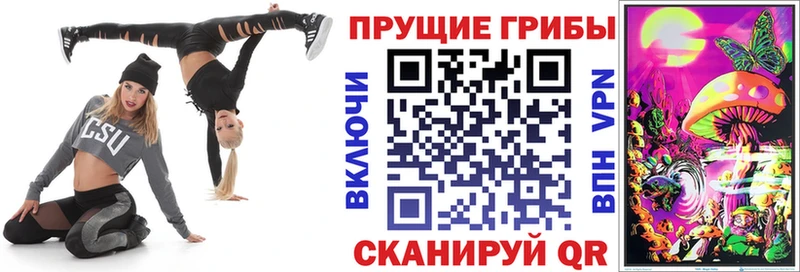 нарко площадка состав  Барыш  Псилоцибиновые грибы Psilocybe  как найти  